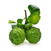 bergamot