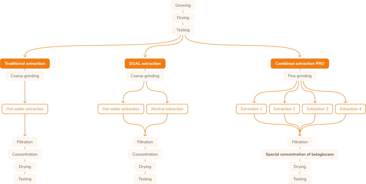 diagram-extrakce-mycomedica-en