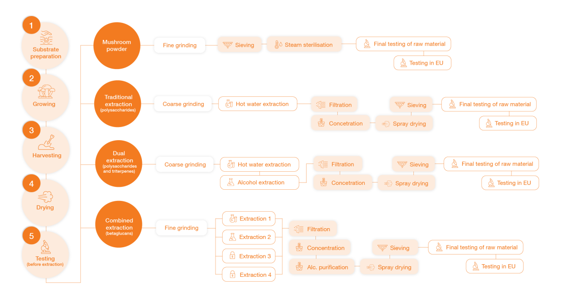 diagram-extrakce-mycomedica-en