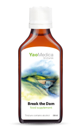 002  Break the Dam