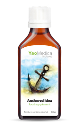 042 - Anchored Idea