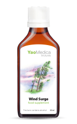 091  Wind Surge