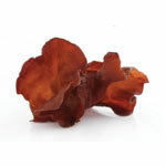 BIO powder Auricularia