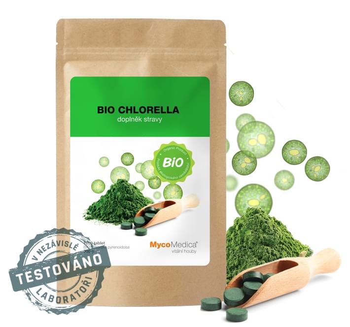 Evolueren heden Snazzy BIO Chlorella of the highest quality | MycoMedica - MycoMedica - chinese  medical mushrooms