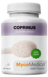 Coprinus