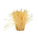 Extract Enoki 30%