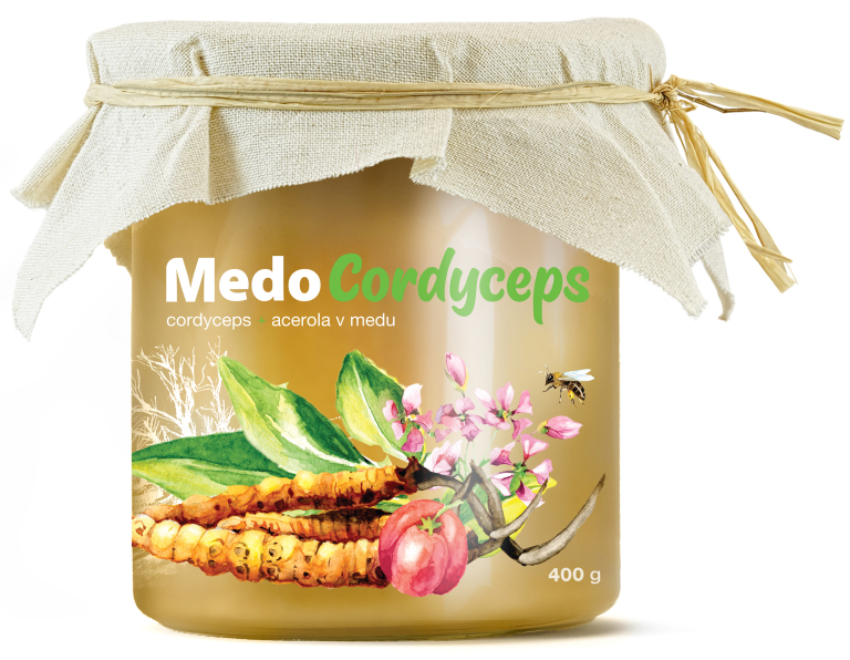 MedoCordyceps