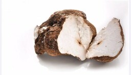 Extract Poria Cocos 30%