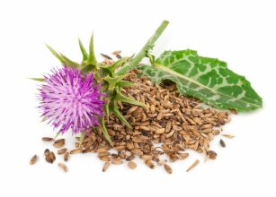 milk thistle-flower-seed